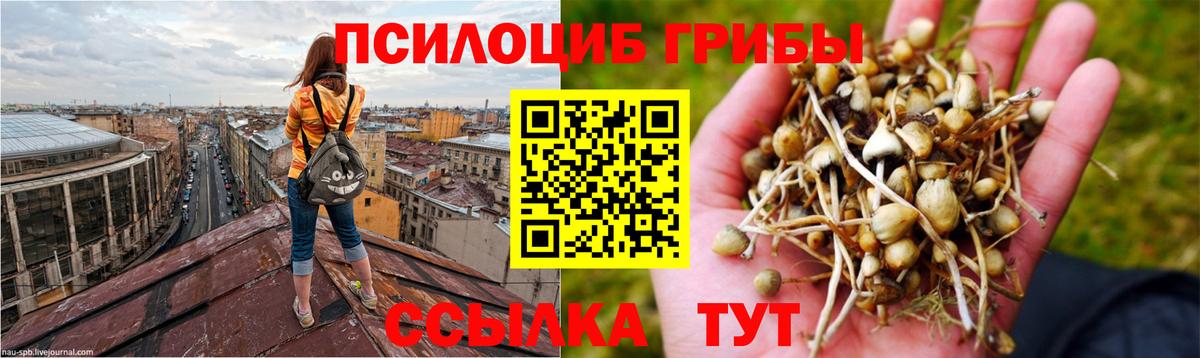 цена наркотик  Вход с VPN  Когалым  Галлюциногенные грибы мицелий 